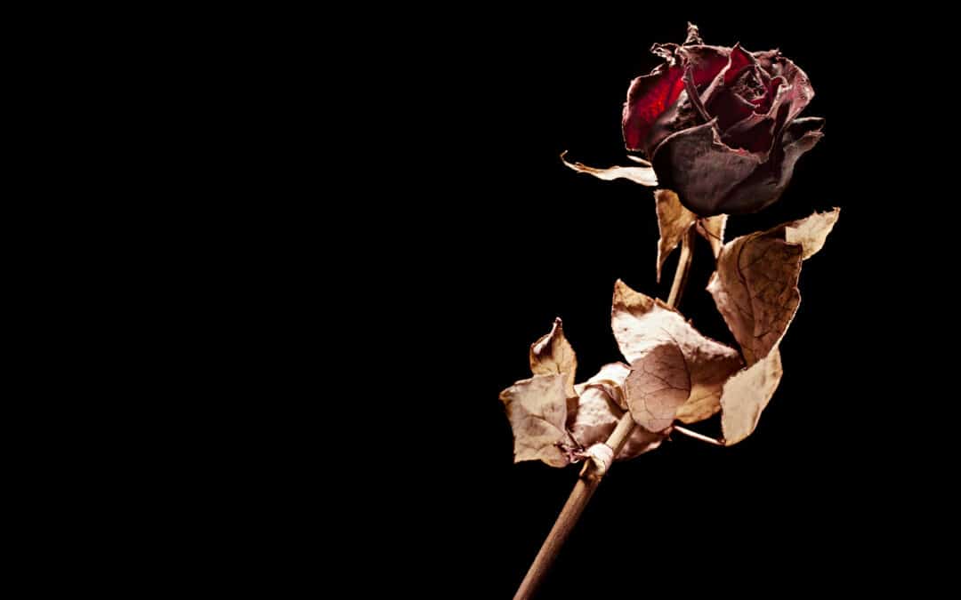 Anonymous Ghost From Title IX Past Cancels Bachelor Contestant
