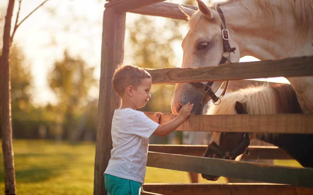 Preventing Summer Break Regression: 5 Ways to Keep Special Education Students Engaged Over the Summer